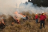 Llama Legismex a ayuntamientos a evitar incendios forestales