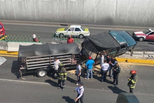 Choca camioneta cargada de cerdos en Paseo Tollocan