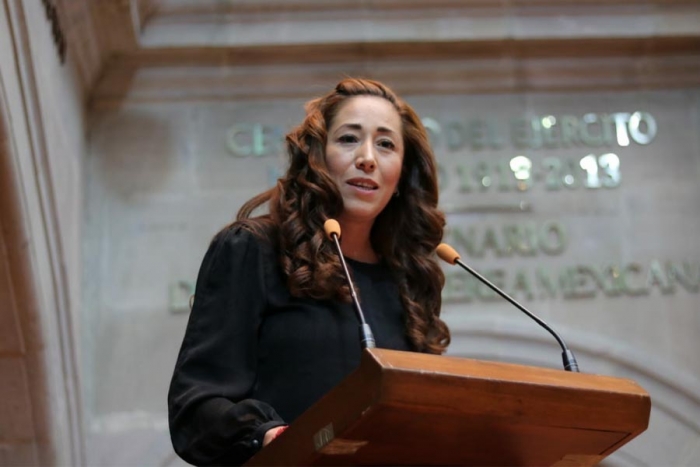 Denunciará Morena a la diputada Ingrid Schemelensky por violencia política de género