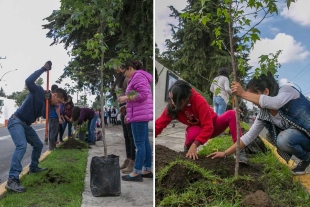 Necesario que ciudades cuenten con áreas verdes y zonas arboladas