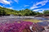Caño Cristales: Descubre el río de colores que yace en las tierras bajas de Colombia