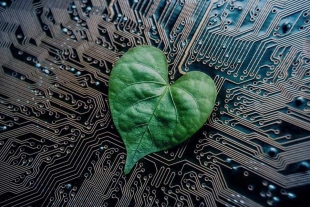 Algoritmos verdes, la apuesta por una inteligencia artificial más sostenible