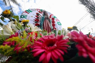 Agradecen favores a la Virgen de Guadalupe en San Miguel Totocuitlapilco, Metepec