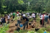 El ambicioso plan de Singapur que busca plantar un millón de árboles
