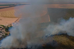 La sabana brasileña “sustituye” a la Amazonia como foco rojo de la deforestación