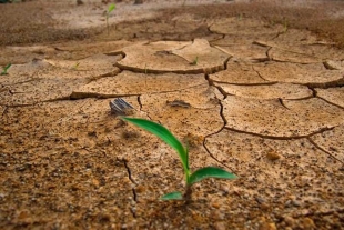 El reporte de Global Footprint Network advierte que la huella ecológica de España ha ido en aumento durante los últimos años