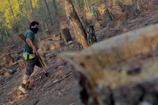 ¡Atención! México registra un alza en delitos ambientales durante el 2021