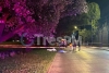 Atropellan a peatón sobre Paseo Tollocan cerca de Pilares
