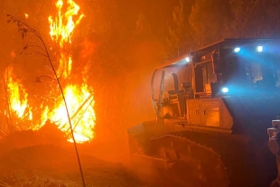 Portugal en llamas: miles de personas evacuadas y hectáreas destruidas