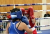 La selección estatal de boxeo a un paso de ser definida