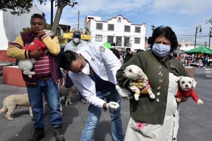 ¡Atención! Edomex invita a participar en la Jornada Nacional de Vacunación Antirrábica  2022