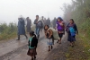 Desplazados pueblos tzotziles por presencia de grupos paramilitares