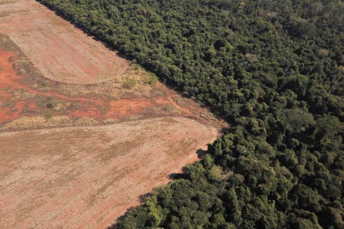 Con acuerdo pionero, la unión europea le cierra las puertas a la deforestación