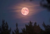 Superluna rosa de abril, ¿cuándo se verá?