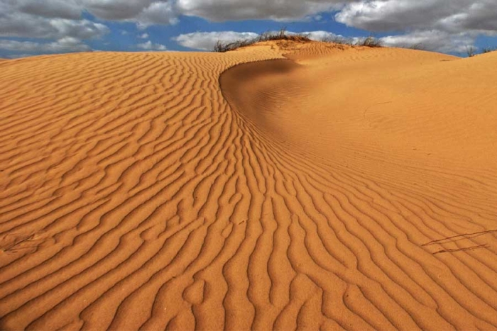 Expertos hallan evidencia de una ley matemática “oculta” en las ondulaciones de arena