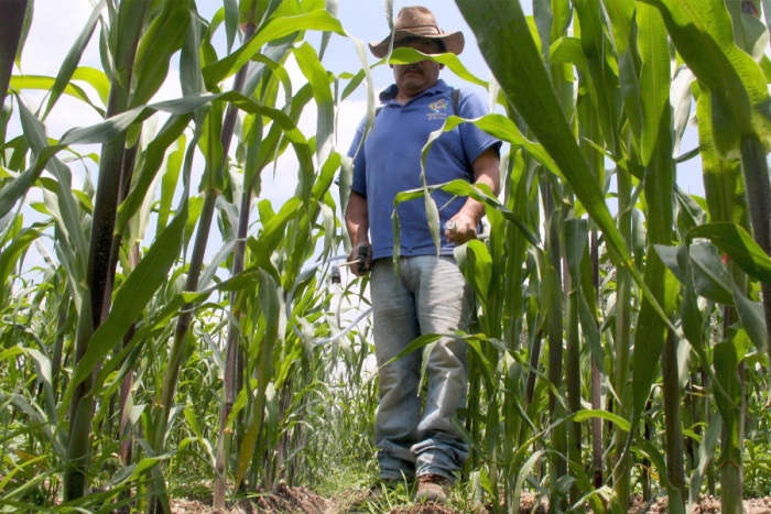 Se agudiza crisis agraria en el Edoméx por inconsistencias en la repartición de apoyos a agricultores