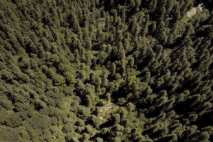 El Parque Natural La Cañada es de acceso público y gratuito