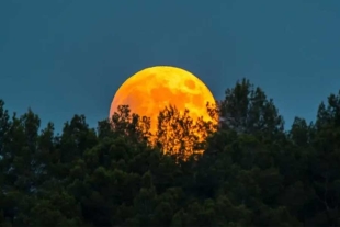 ¡No te la pierdas! Esta es la fecha para ver La Luna de Esturión