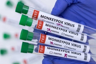Disminuyen casos de Viruela del mono en Europa: OMS