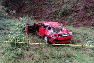Árbol aplasta un carro y mueren dos personas en Villa de Allende
