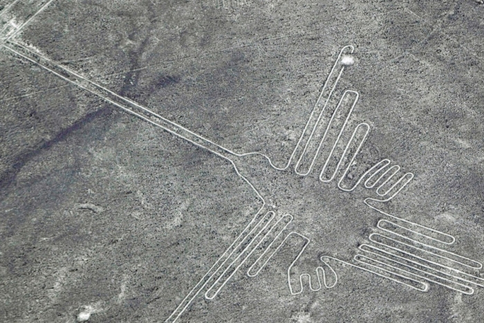 Las gigantescas aves grabadas en Nazca no son lo que se creía