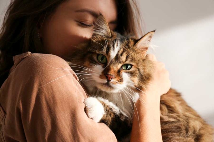 ¡No más polémica! Los gatos prefieren a las mujeres y estas son las razones