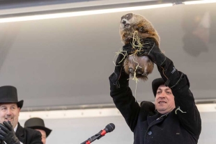 Muere inesperadamente la marmota “Milltown Mel”, famosa por predecir el clima