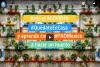 Agricultura urbana; una opción ante la emergencia sanitaria