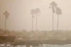 Llega polvo del Sahara a México