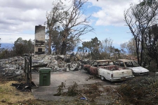 Mueren dos mexicanos por incendios en Hawái, informa SRE