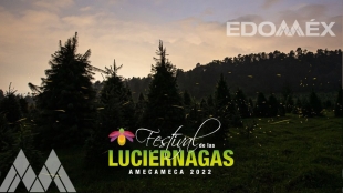 ¡Ya hay fechas! Así será la segunda edición del Festival de las Luciérnagas