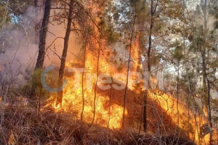 El Ayuntamiento del municipio de Tejupilco ha declarado contingencia ambiental