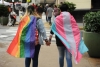 En la congeladora dos de las tres iniciativas para la comunidad LGBT