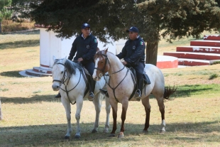 Comprará Toluca 200 caballos para vigilancia en zonas forestales