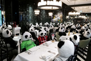Restaurante protesta contra la cuarentena usando osos de peluche