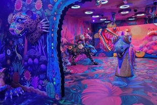 “Colors of Mexico” se encuentra dividida en 7 salas