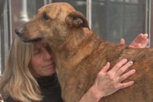 ¡Un milagro! Familia se reencuentra con su perrito luego de varios meses extraviado