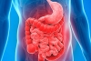 ¿Cuáles son los tipos de cáncer más comunes en el aparato digestivo?