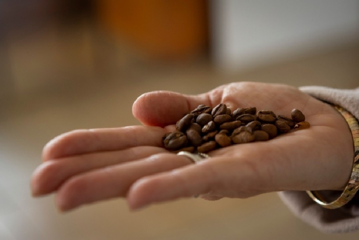 Granos de café mexiquense