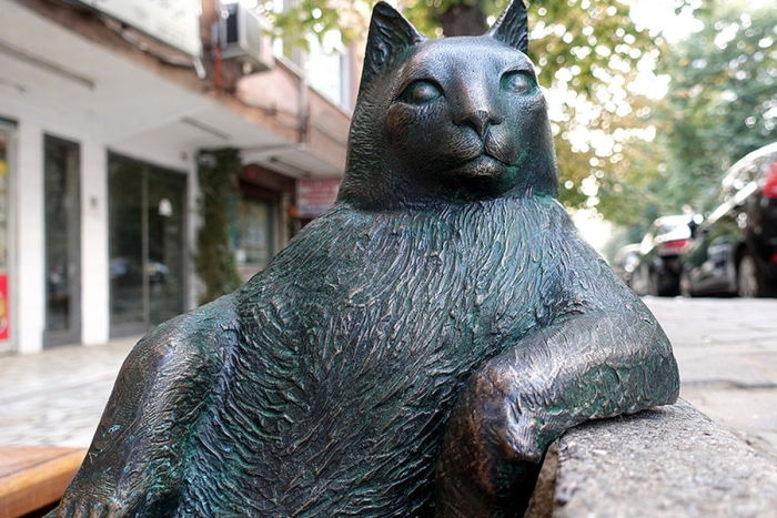 ¡Bien merecido! Famosa gatita es homenajeada con estatua en Turquía