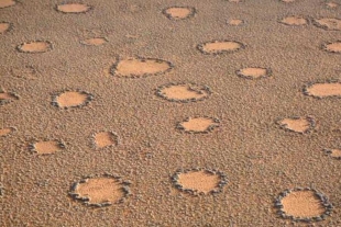 Los enigmáticos círculos de hadas emergen en centenares de zonas áridas del planeta