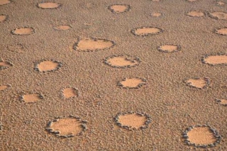 Los enigmáticos círculos de hadas emergen en centenares de zonas áridas del planeta