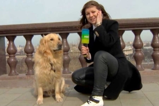 ¡Nos quiere bajar la chamba! Perrito le roba micrófono a reportera en plena transmisión