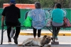 Veterinarios temen incremento en abandono de mascotas por Covid-19 en México