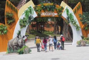 Especies del Zoológico de Zacango dieron a luz 82 crías durante 2023