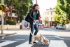Cómo proteger a las mascotas de los peligros urbanos