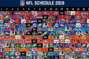 Los siete pecados de la temporada baja de la NFL