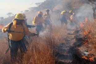 Esperan mayor temporada de incendios por cambio climático