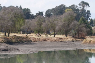 Laguna contaminada en el parque Alameda 2000 en Toluca