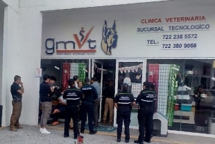 Investigan muerte de perrito en veterinaria de Toluca